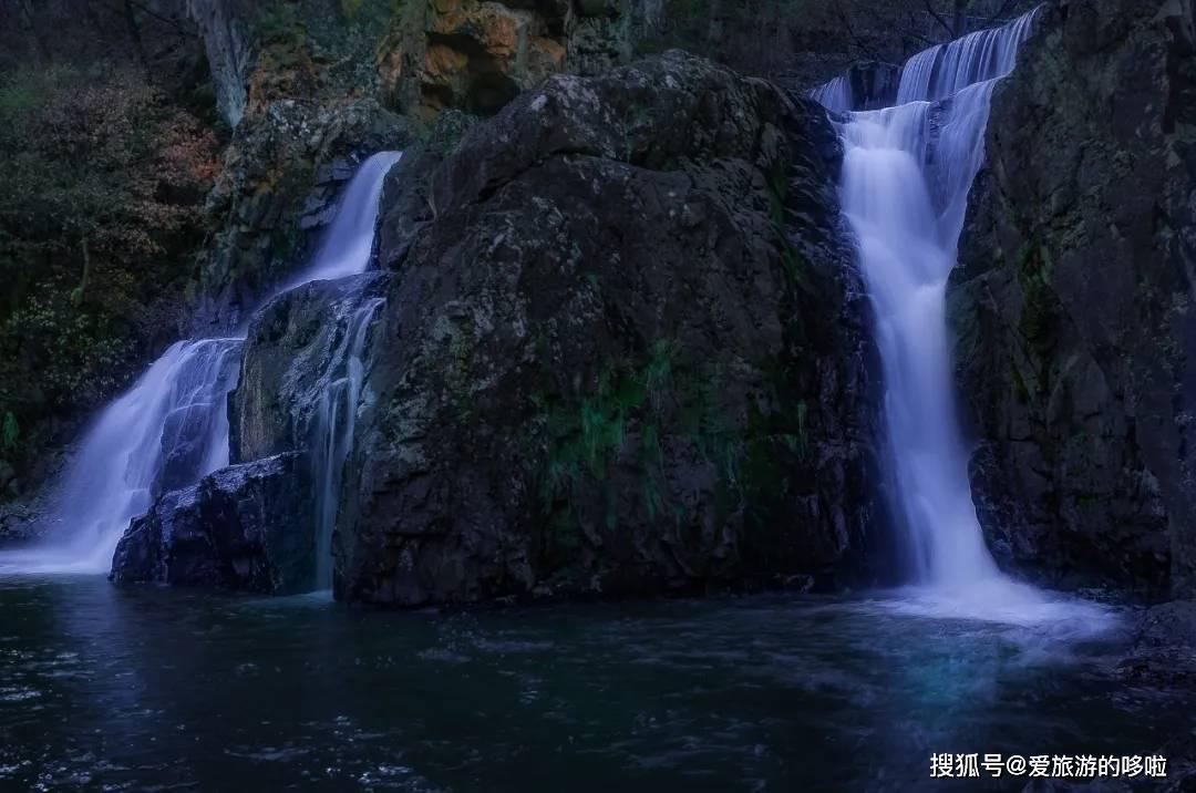 大雨林逃生